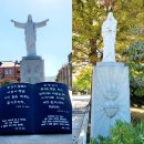 전주^한옥마을&장성^황룡강 노란 꽃 축제 이미지