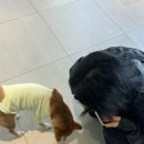 부흥로351번길 이미지