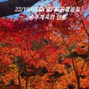 22.10.02일(수) 오공걸음질-송추계곡 단풍(청농이 오공깃발 대타로) 이미지