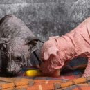 지 동물병원 이미지