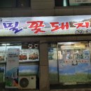 메밀꽃돼지 이미지