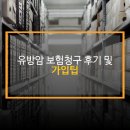 청구 | 유방암 보험 청구 후기 및 가입 팁 총정리