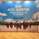 2025 빈 소년 합창단 신년음악회 이미지