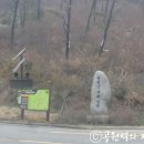 태청산 편백나무숲 트레킹길 이미지