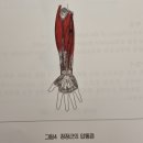 건국동행정복지센터 이미지