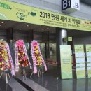 2018 명원 세계차박람회 후기. 코엑스