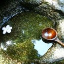 우리들의 사랑 이미지