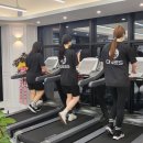 원스짐 레이디 종합운동장점 이미지