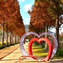 (주)덕산 이미지