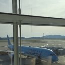 골드항공 | 인천공항 T2 마티나 골드 라운지, 대한항공 기내식(과일식) 후기｜KB HERITAGE Classic 카드로 무료...