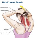 화가한의원 이미지