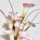 예등 | 가성비로 유명한 꽃술예 본식 부케 계약 후기 (예약 방법, 코사지 세트 가격, 배송비 등)