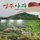 밤실농장 이미지