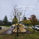 등억알프스야영장 | 신불산군립공원 등억알프스야영장 부부 캠퍼 가을 우중 캠핑 후기
