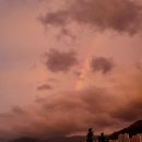 마루한청무태권도장 이미지