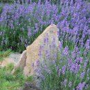 수억민박 이미지