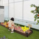 파파하우스 이미지