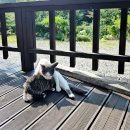문장대민박 이미지