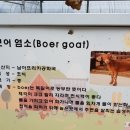 구미곤충산업농장 이미지