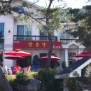 얼큰이짬뽕 이미지