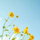 경기대로652번길 이미지