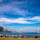 골드 결혼정보 이미지