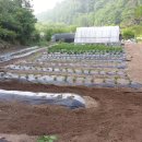 만물상회 이미지