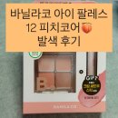 봄 웜톤 찰떡템! 바닐라코 비방이 바닐라 무드 온 아이 팔레트 12 피치 코어 내 돈 내산 발색 후기