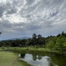 귀여운 오리가족이 있는 제주도 서귀포 카페 담소요 내돈내산 솔직후기