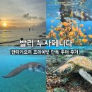 만타 | 발리 누사페니다 만타가오리 스노쿨링 프라이빗 투어 후기