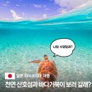 RR-22[덕양로]-상-15 | 일본 미야코지마 바다거북이 스팟 및 가족 커플 바다별 맞춤 여행지 BEST 5