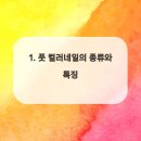 예또네일 이미지