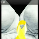 남북정상회담 특별수행원 트윗 (박원순,최문순,박지원,김형석,지코) 이미지