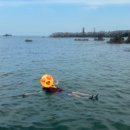 또바기 펜션 이미지