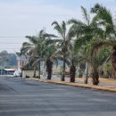 선라이즈 골프클럽 | 파타야 가성비 골프장.파타비아 센추리 골프클럽 후기