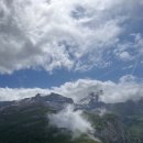 소들의 천국 이미지