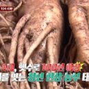 홍삼베리영농조합법인 이미지