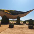 인천공항 하늘정원 유채꽃축제 관람. 이미지