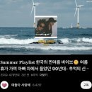 오늘DOG예쁨 | 여름아! 부탁해