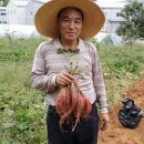 예원모텔 이미지