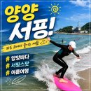도로변(고척로 195) | 양양 서핑 예약부터 패들보드까지! 솔게스트하우스 단독객실 후기