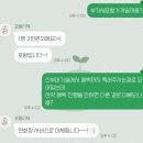 선명한 화이트 피치톤 본식스냅 DVD 포엘리제 내돈내산 계약 상세후기(ft.가격, 짝꿍할인)
