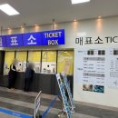 7301 | 제천 가볼만한곳 청풍호반케이블카 이용 후기