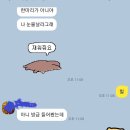 두메정가든