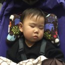 내유목장 | 0303_[in Korea] 그동안의 일상