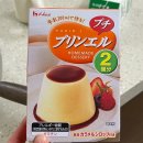 봄이 와도