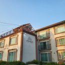 제부도펜션 벚꽃 이미지