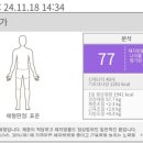 바이오포톤테라피 이미지