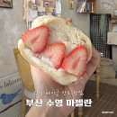 공간속의 높은 음자 | 부산 과일 베이글산도 맛집, 망미동 카페 마젤란 내돈내산 주말 신메뉴 후기