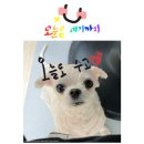 정남진전망대횟집 이미지